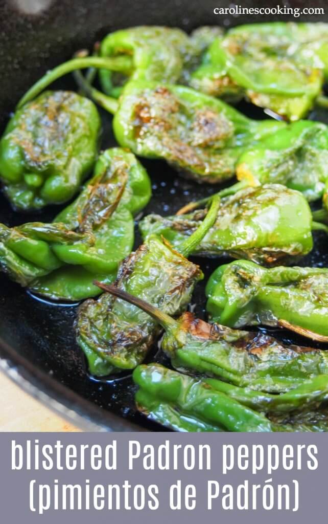 Blistered Padron peppers (pimientos de Padrón)