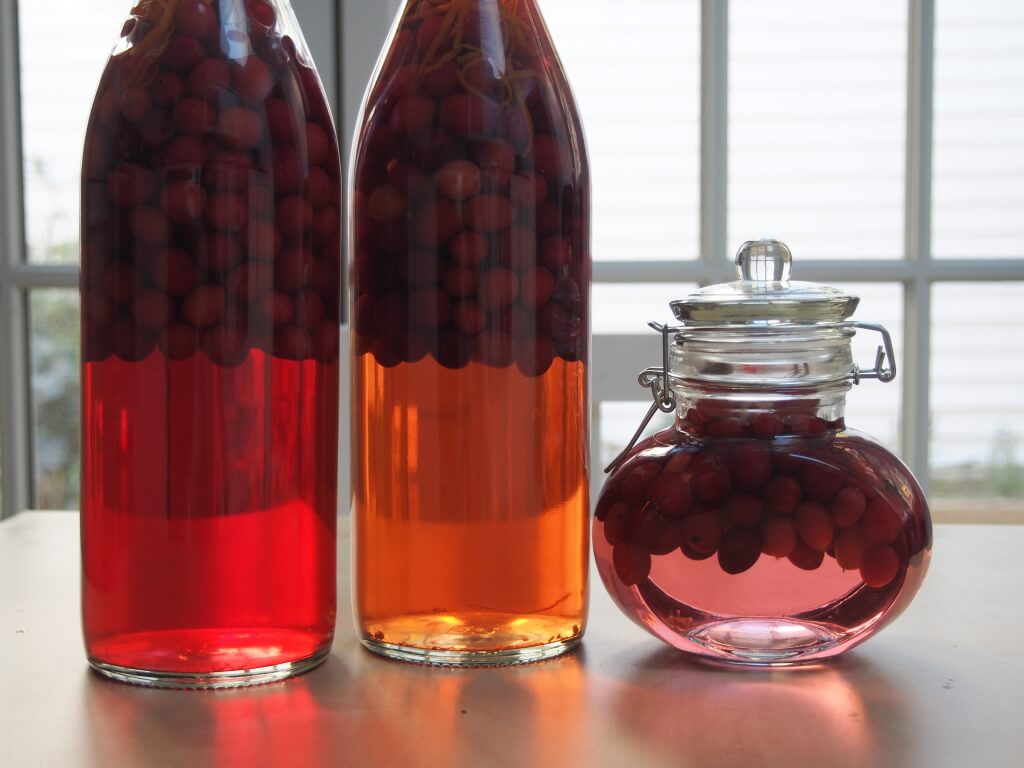 bottles of cranberry gin lined up next to each other