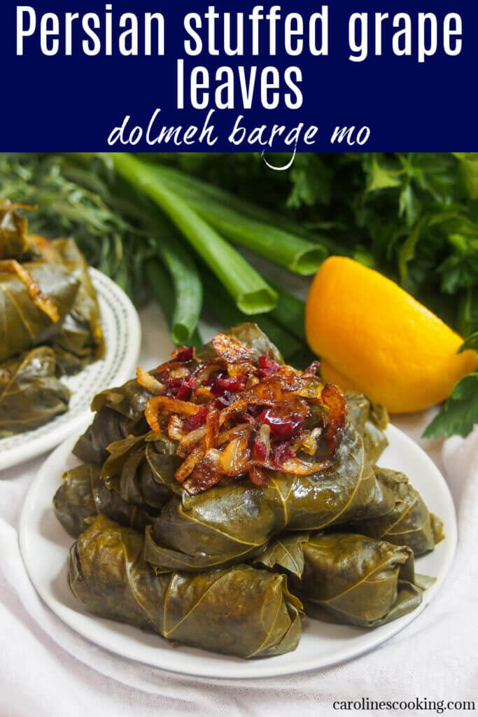 dolmeh barge mo Persian stuffed grape leaves