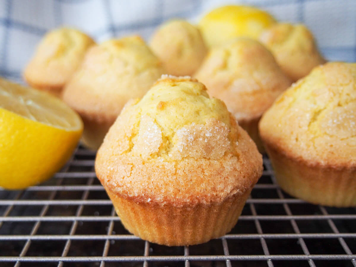 magdalenas Spanish muffins on cooling rack