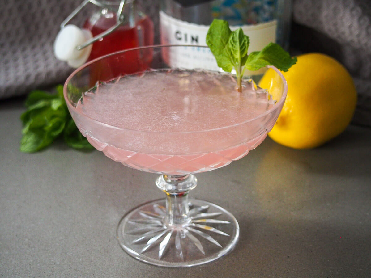 rhubarb southside cocktail with ingredients in row behind